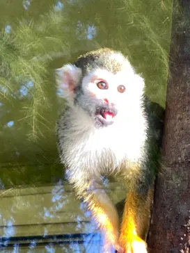 ひらかたパークに投稿された画像（2023/3/20）