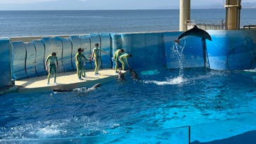 新江ノ島水族館に投稿された画像（2023/3/20）