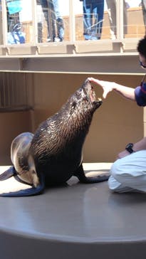 アクアワールド茨城県大洗水族館に投稿された画像（2023/3/20）
