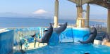 新江ノ島水族館に投稿された画像（2023/3/20）