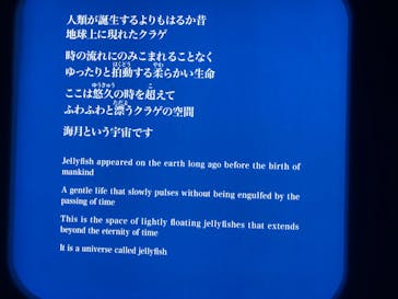 新江ノ島水族館に投稿された画像（2023/3/20）