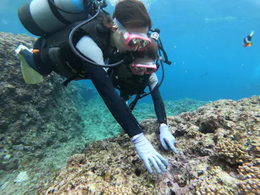 武藤潜水に投稿された画像（2023/3/20）
