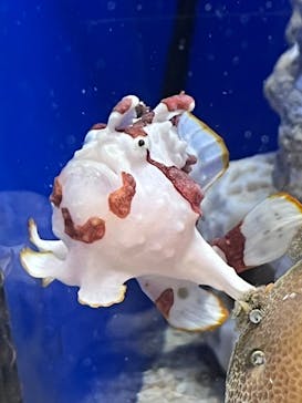 サンシャイン水族館に投稿された画像（2023/3/20）