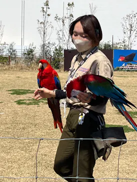 神戸どうぶつ王国に投稿された画像（2023/3/20）