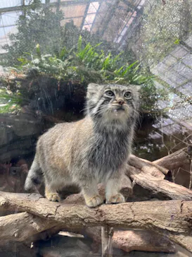 神戸どうぶつ王国に投稿された画像（2023/3/20）