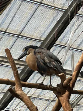 神戸どうぶつ王国に投稿された画像（2023/3/20）