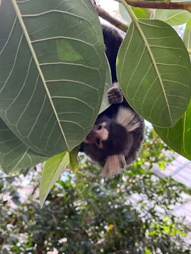 神戸どうぶつ王国に投稿された画像（2023/3/20）
