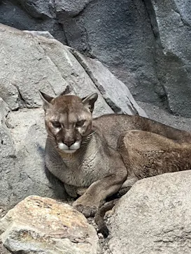 神戸どうぶつ王国に投稿された画像（2023/3/20）
