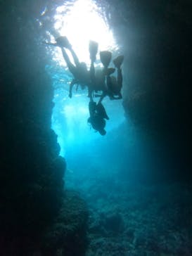 沖縄マリンサービス碧に投稿された画像（2023/3/20）