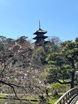 三溪園に投稿された画像（2023/3/20）