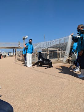 アクアワールド茨城県大洗水族館に投稿された画像（2023/3/20）
