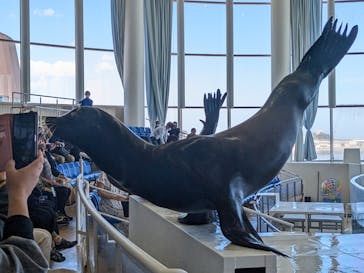 アクアワールド茨城県大洗水族館に投稿された画像（2023/3/20）