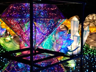 伊豆ぐらんぱる公園に投稿された画像（2023/3/20）