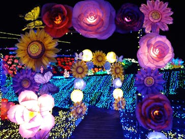 伊豆ぐらんぱる公園に投稿された画像（2023/3/20）