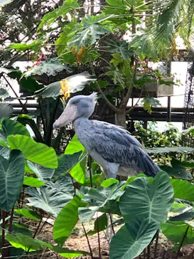 神戸どうぶつ王国に投稿された画像（2023/3/20）