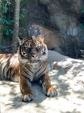 神戸どうぶつ王国に投稿された画像（2023/3/20）