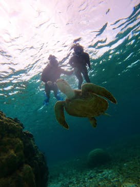 宮古島 ADVENTURE PiPi（ミヤコジマ アドベンチャー ピピ）に投稿された画像（2023/3/20）