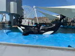 名古屋港水族館に投稿された画像（2023/3/20）