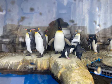 仙台うみの杜水族館に投稿された画像（2023/3/20）