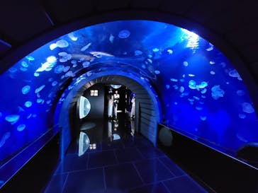 サンシャイン水族館に投稿された画像（2023/3/20）