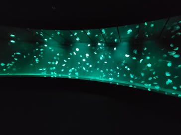 サンシャイン水族館に投稿された画像（2023/3/20）