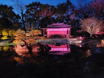 『NAKED FLOWERS 2023 桜 世界遺産・二条城』に投稿された画像（2023/3/20）