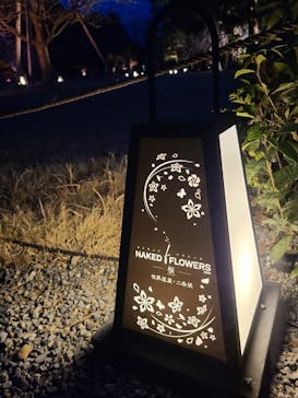 『NAKED FLOWERS 2023 桜 世界遺産・二条城』に投稿された画像（2023/3/20）