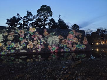 『NAKED FLOWERS 2023 桜 世界遺産・二条城』に投稿された画像（2023/3/20）