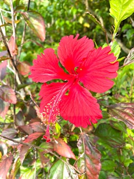 宮古島 ADVENTURE PiPi（ミヤコジマ アドベンチャー ピピ）に投稿された画像（2023/3/20）