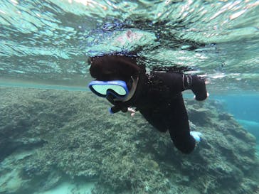 宮古島 ADVENTURE PiPi（ミヤコジマ アドベンチャー ピピ）に投稿された画像（2023/3/20）