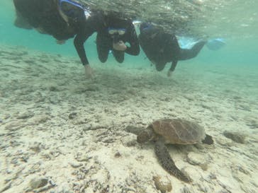 宮古島 ADVENTURE PiPi（ミヤコジマ アドベンチャー ピピ）に投稿された画像（2023/3/20）