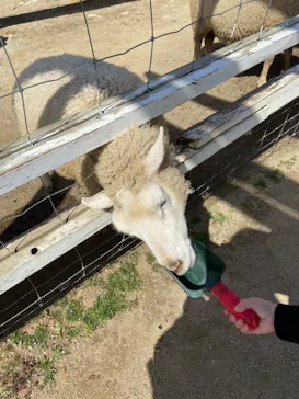 神戸どうぶつ王国に投稿された画像（2023/3/20）