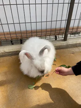 神戸どうぶつ王国に投稿された画像（2023/3/20）