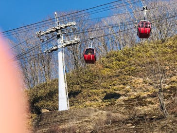 のぼりべつクマ牧場に投稿された画像（2023/3/20）