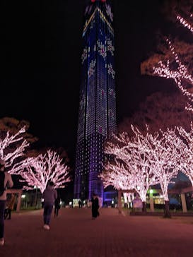 福岡タワーに投稿された画像（2023/3/20）