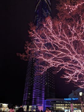 福岡タワーに投稿された画像（2023/3/20）