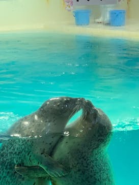 下田海中水族館に投稿された画像（2023/3/20）