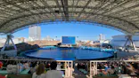 名古屋港水族館に投稿された画像（2023/3/20）