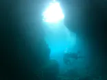 武藤潜水に投稿された画像（2023/3/21）
