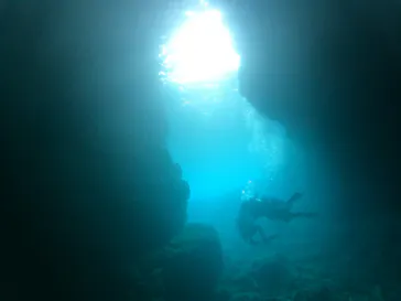 武藤潜水に投稿された画像（2023/3/21）