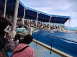 越前松島水族館に投稿された画像（2023/3/21）