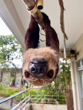 ネオパークオキナワに投稿された画像（2023/3/21）