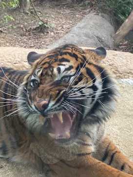 神戸どうぶつ王国に投稿された画像（2023/3/21）