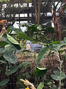 神戸どうぶつ王国に投稿された画像（2023/3/21）