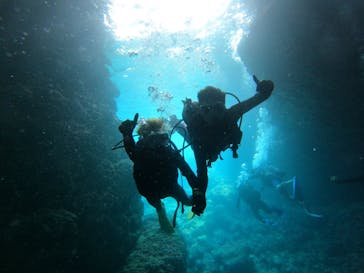 沖縄マリンサービス碧に投稿された画像（2023/3/21）