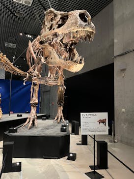特別展「恐竜博2023」に投稿された画像（2023/3/21）