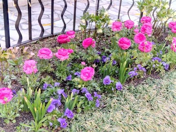 星の王子さまミュージアム 箱根サン=テグジュペリに投稿された画像（2023/3/21）