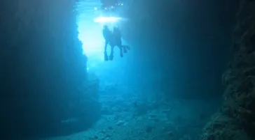 武藤潜水に投稿された画像（2023/3/21）