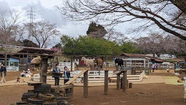 成田ゆめ牧場に投稿された画像（2023/3/21）