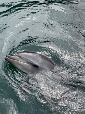 伊豆・三津シーパラダイスに投稿された画像（2023/3/21）